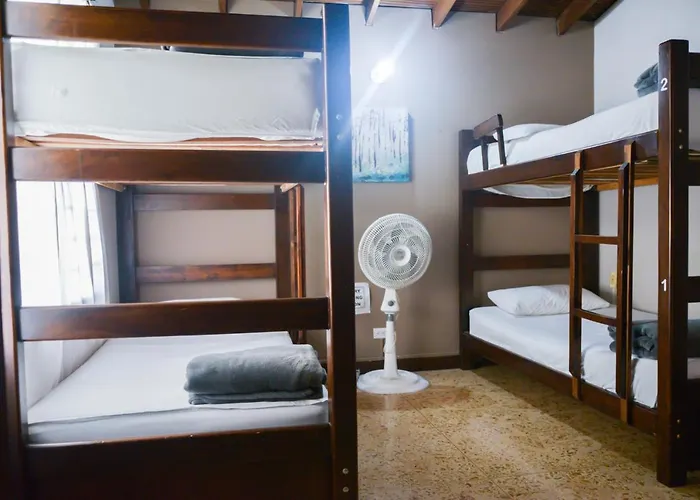 Ivy Hostel